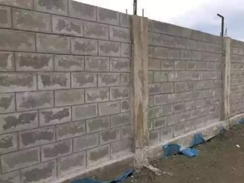 FB_IMG_1603368434627
